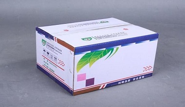 手工型纸塑胶MQ6102